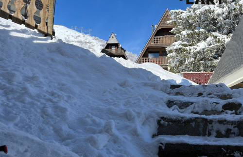 Chalet 6-8 pers St Lary Alt1700m -100mdespistes classé 4 étoiles - Photo 49