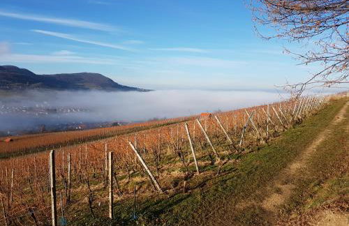 Studio 22, Terrasse,Pool,Sauna,Ofen - Foto 17