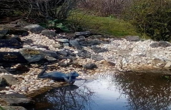 Ferienhaus in Blankenburg - Foto 27