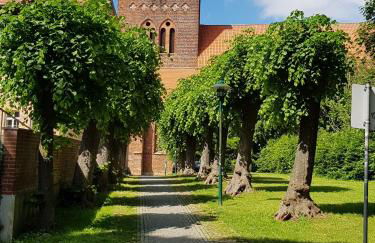 Ferienwohnung in Ostseenähe - Foto 22
