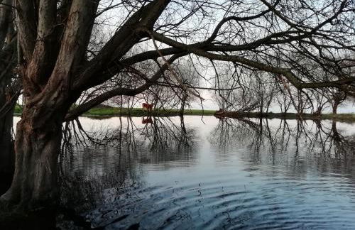 Jardín San Pelayo - Foto 47