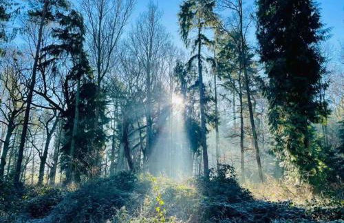 Oxfordshire Country Cottage - Foto 78