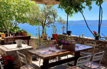 Blue Dream - Foto 40