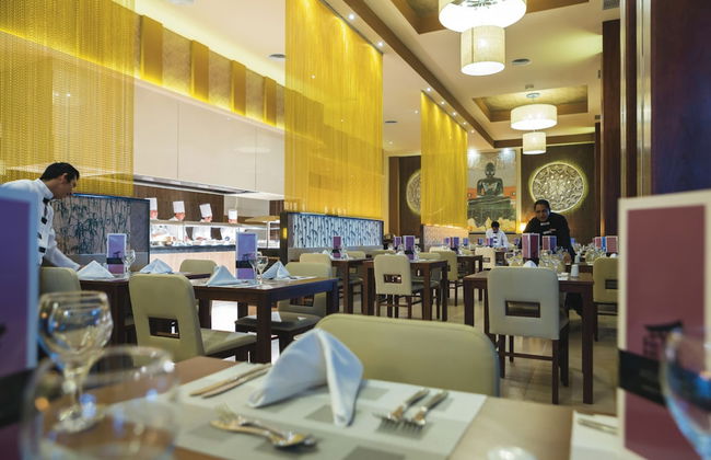 Hotel Riu Playacar - All Inclusive - Photo 62