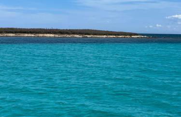 Loft Stintino - Photo 14