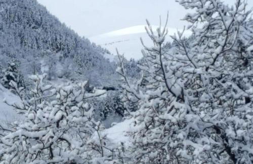 Les Forques de'n Pep - Foto 34