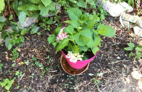 Maison de charme à Vachères avec jardin et vue montagne - Foto 27