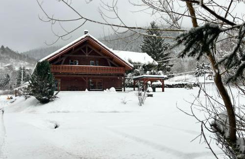 Chalet in Ventron near La Bresse Ski Area - Foto 19