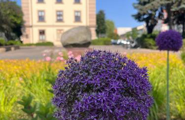 Apartamenty Swarzędz - Foto 27