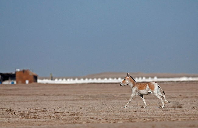 Rann Riders - Foto 34