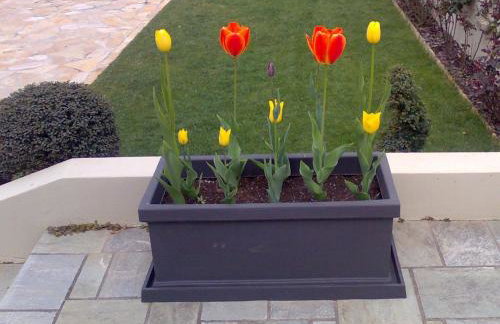 Villa Markos - Foto 19