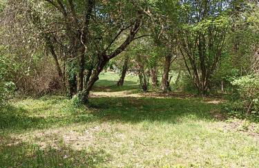 Maison de campagne - Foto 16