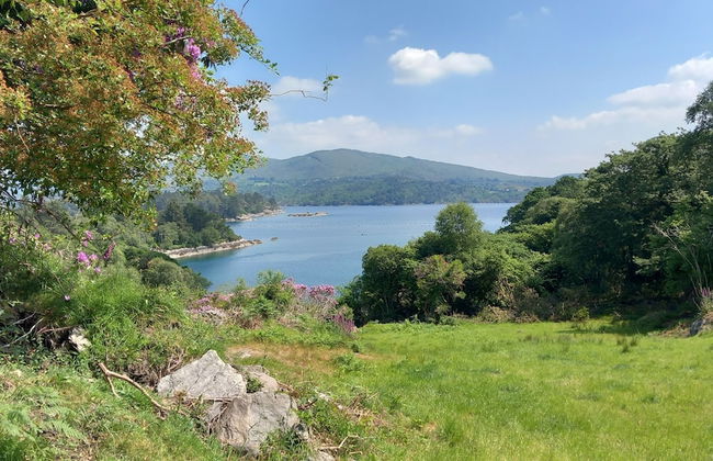 Cuckoo Tree House, Glengarriff, Beara Peninsula - Foto 36