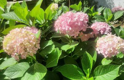 Vila Casa Do Sobral - Foto 57