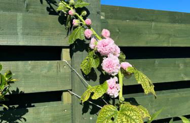 The Stable - NC500 - Photo 27