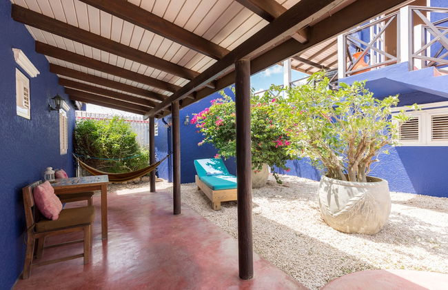 Blachi Koko Apartments Bonaire - Foto 23