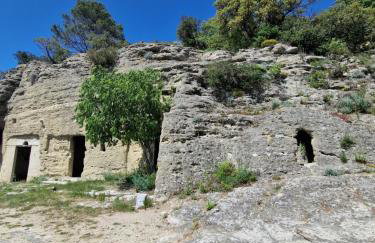 L'Oustalet Des Gorges d'Ardèche Wifi et Canal Plus - Foto 47