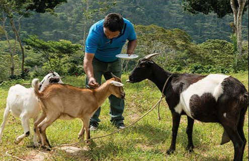 Tour del café orgánico por la finca Rainforest - Foto 5