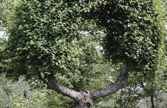 Il Colombaio di Cencio - Foto 55