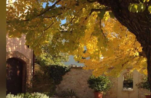 I Gelsi di Colombata Locazione turistica breve in campagna - Foto 53