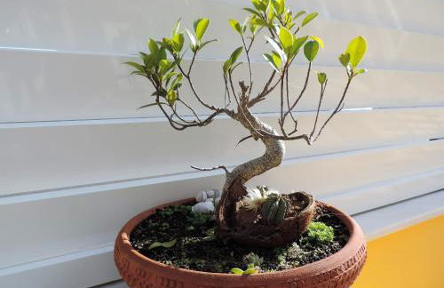 BLISS WHITE HOUSE - Foto 42