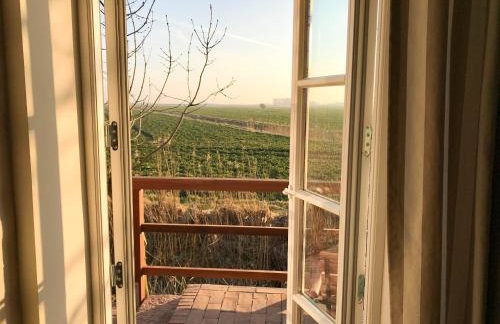 Gartenhaus Frieda - Foto 8