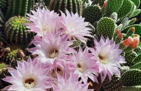 Il Casale di Lucullo - Foto 48