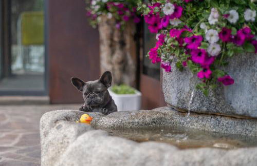 Appartments Peter - Foto 19