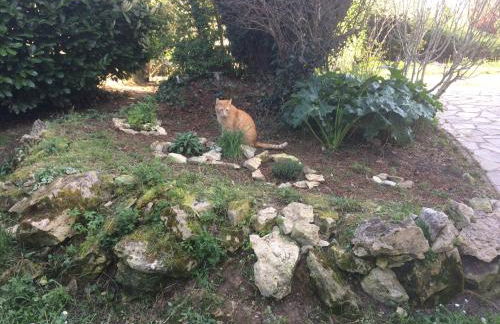 La tuilerie - Photo 6