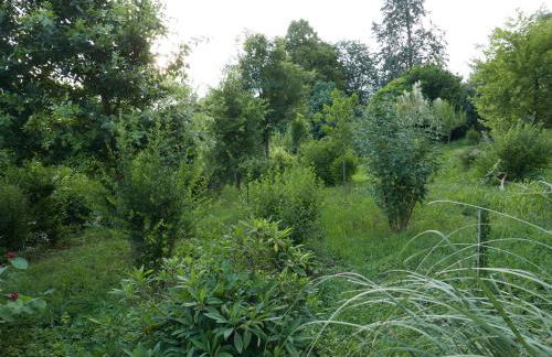 Cascina Tornara, ritorno alle origini monferrine - Foto 45