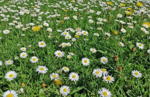 Ferienwohnung "Luv" Grube Ostsee - Foto 20