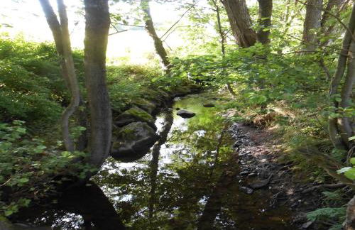 Gemütliche Ferienwohnung in Medebach - Foto 24