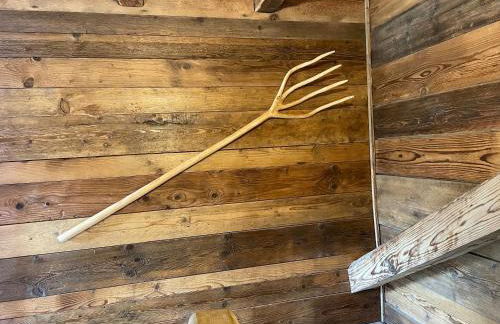 Les grand fats - Photo 6