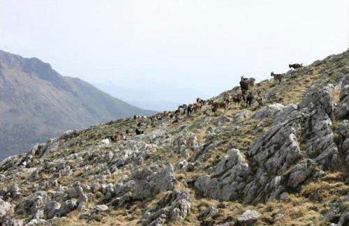 Casa Marta - Foto 15