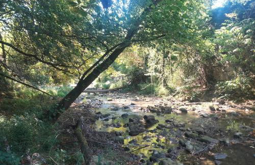 Appartement au bord de l'Yxeure au rez de chaussée avec terrain - Foto 16