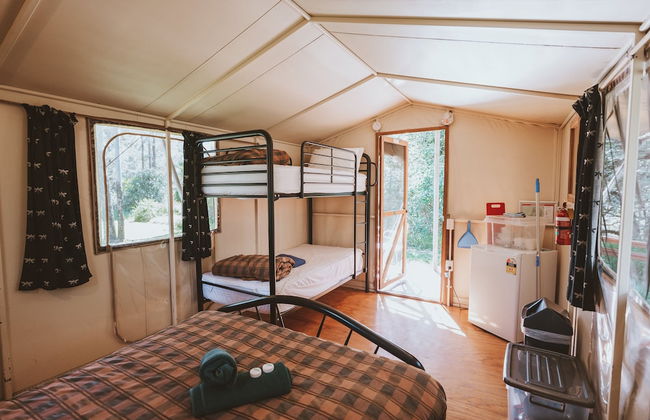 BIG4 Carnarvon Gorge Holiday Park - Foto 12