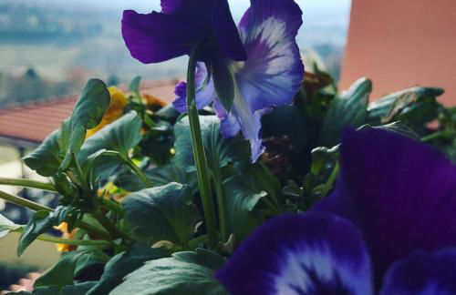 Il Pozzo Country House - Foto 29