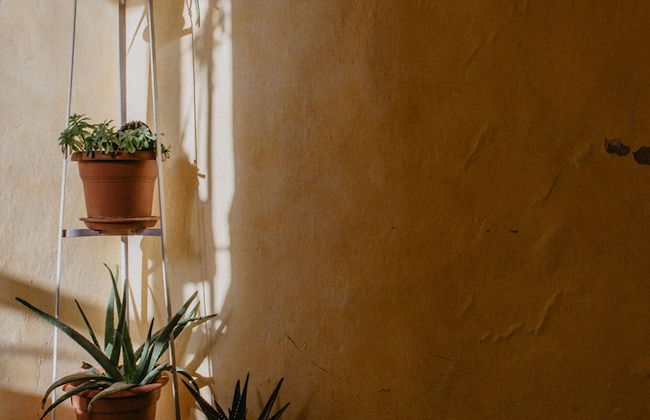 Agriturismo Le Piagge - Foto 26