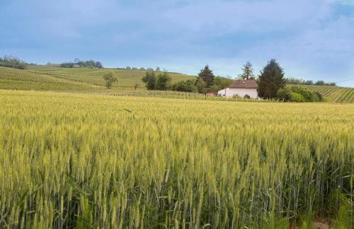 White Tail Organic Farm - Foto 57