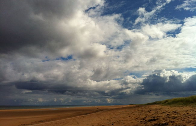 The Paddock - Foto 31