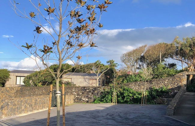 Quinta dos Peixes Falantes - Foto 69