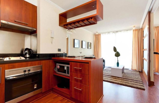 Apartamentos Premium Capital Providencia - Foto 8