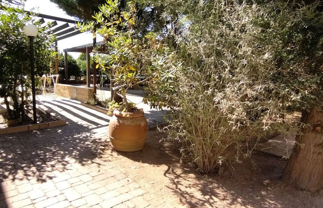 Azienda Agrituristica Le Betulle - Foto 47