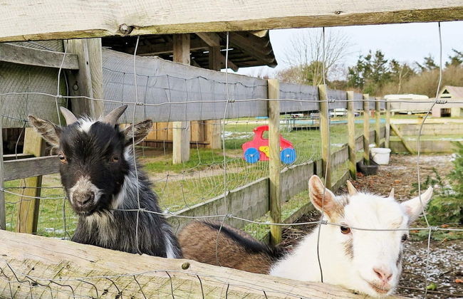 6 Person Holiday Home in Struer - Foto 25