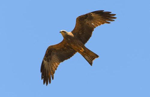 Casa Rural Los Parrales - Foto 51