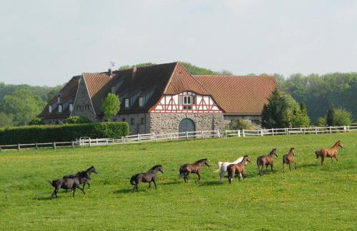 Alte Schule Altefeld - Foto 16