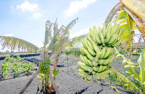 casa los veroles lanzarote - Foto 26