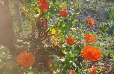 House - Sleeps 5 Scenic Views Fireplace & Garden - Foto 30