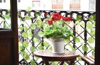Bello apartamento cerca de la Plaza Redonda - Photo 22