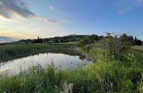 Podere Casa Rossa a Pienza - Foto 42